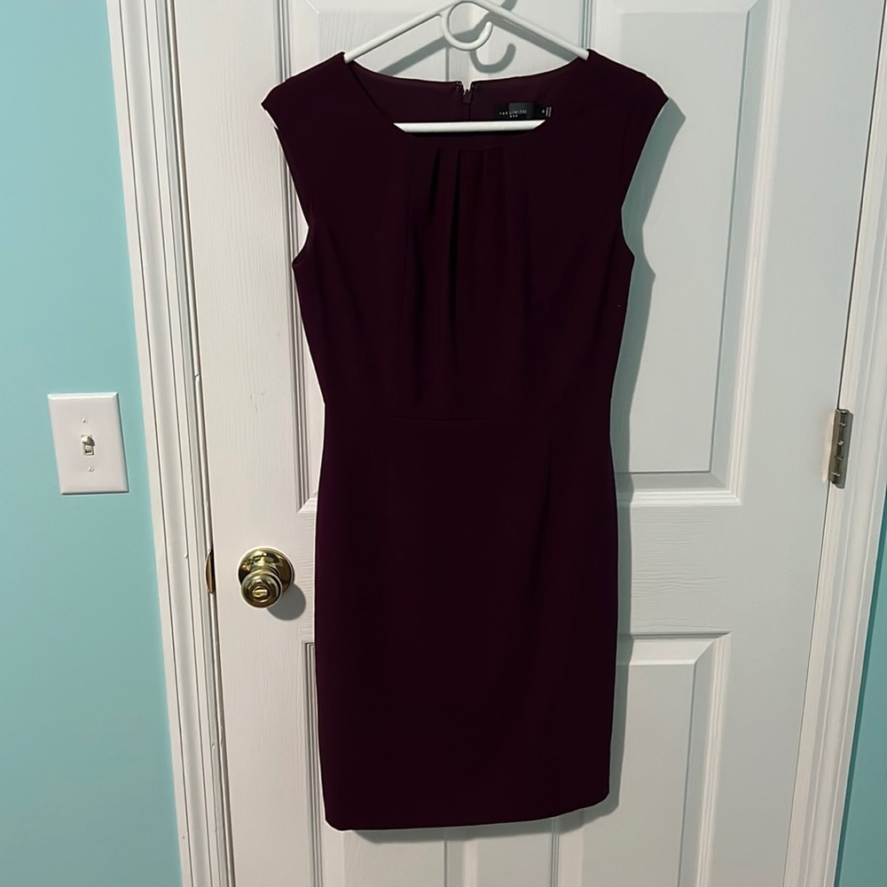 The Limited Dress